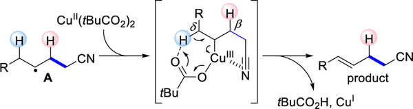 Scheme 5.