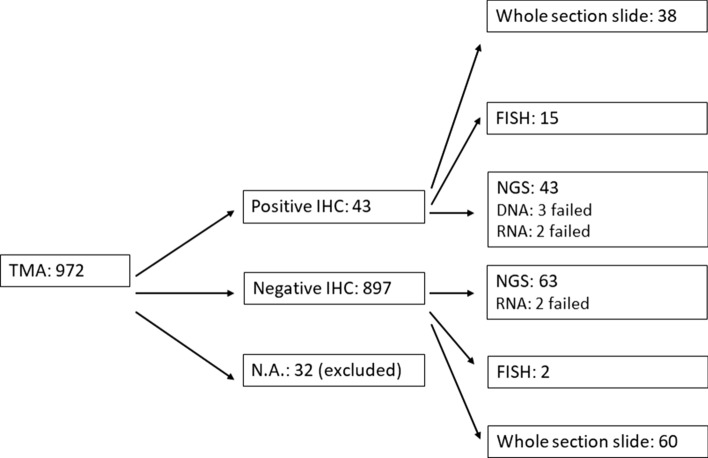 Fig. 1