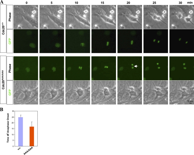 Figure 6.