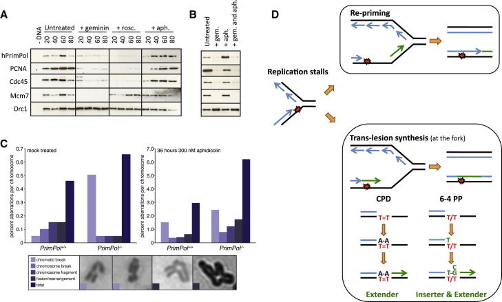 Figure 4