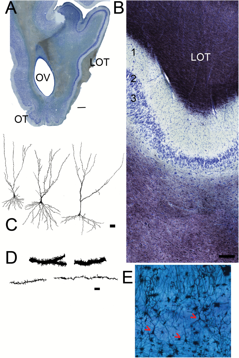 Figure 7.