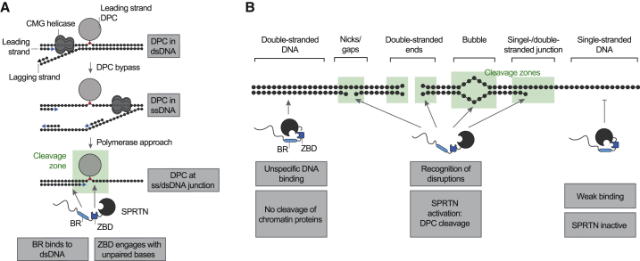 Figure 6