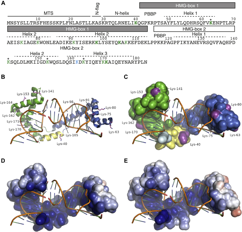 Figure 4