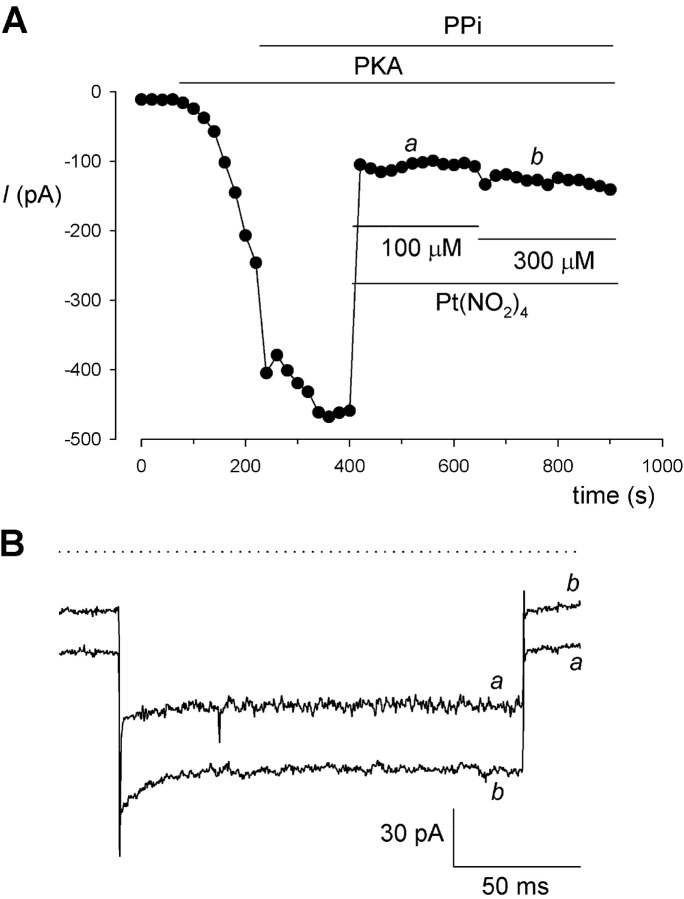 Figure 11. 