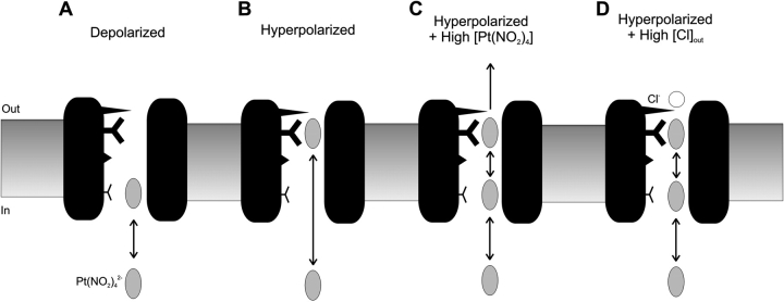 Figure 13. 