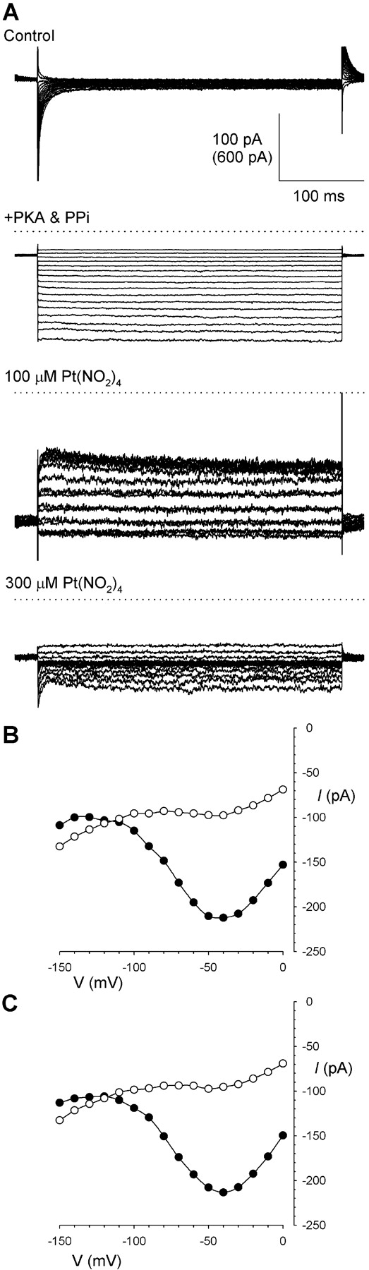 Figure 10. 