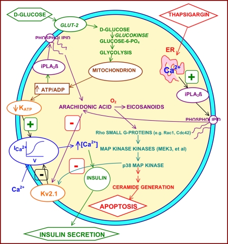 FIGURE 9.