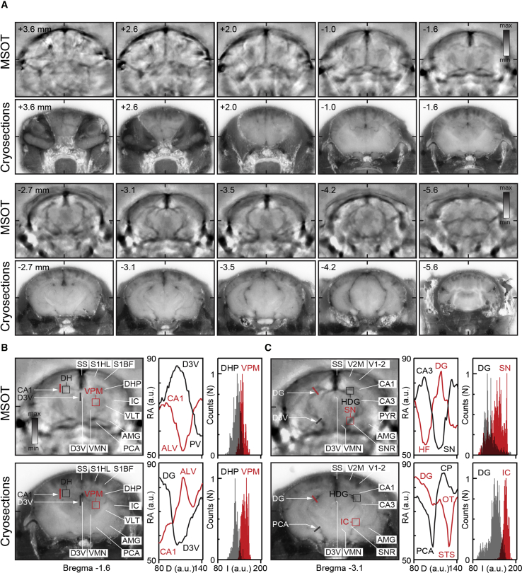 Figure 6