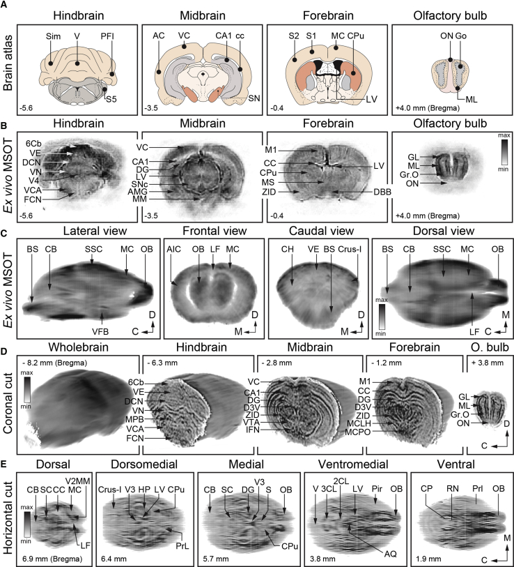 Figure 4