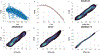 Fig. 2: