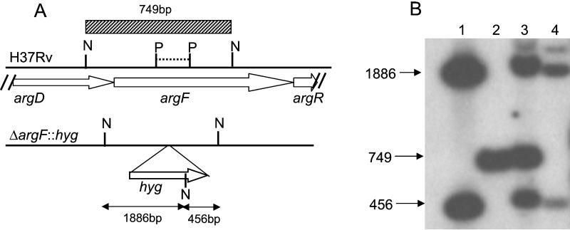 FIG. 1.