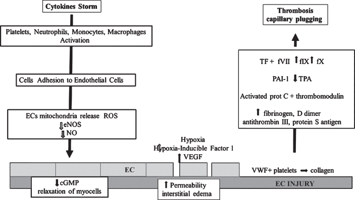 Fig.1