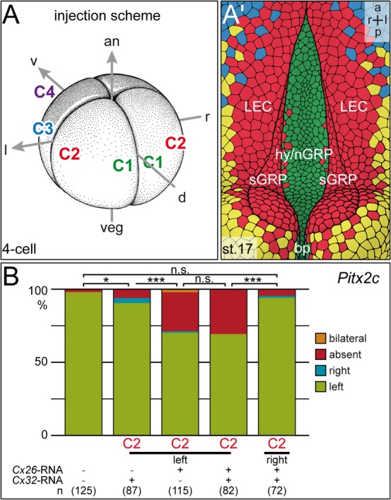 Fig. 4.