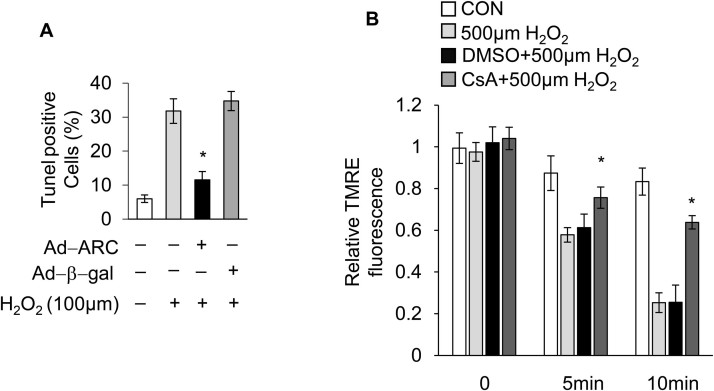 Supplementary Fig. 2