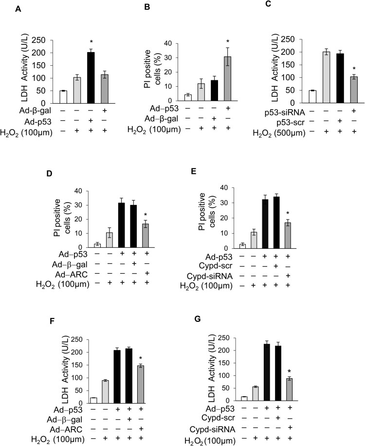 Supplementary Fig. 3