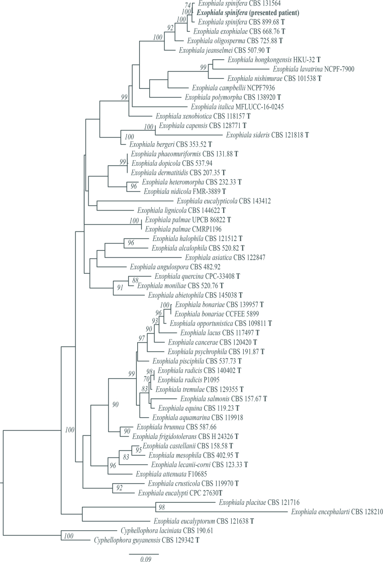 Fig. 2