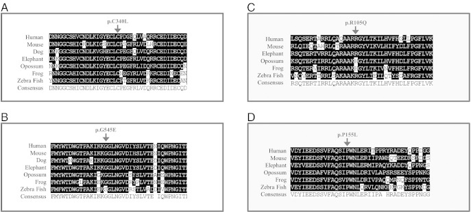 Fig. 3