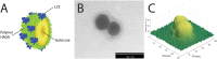 Fig 14