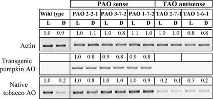 Figure 6.