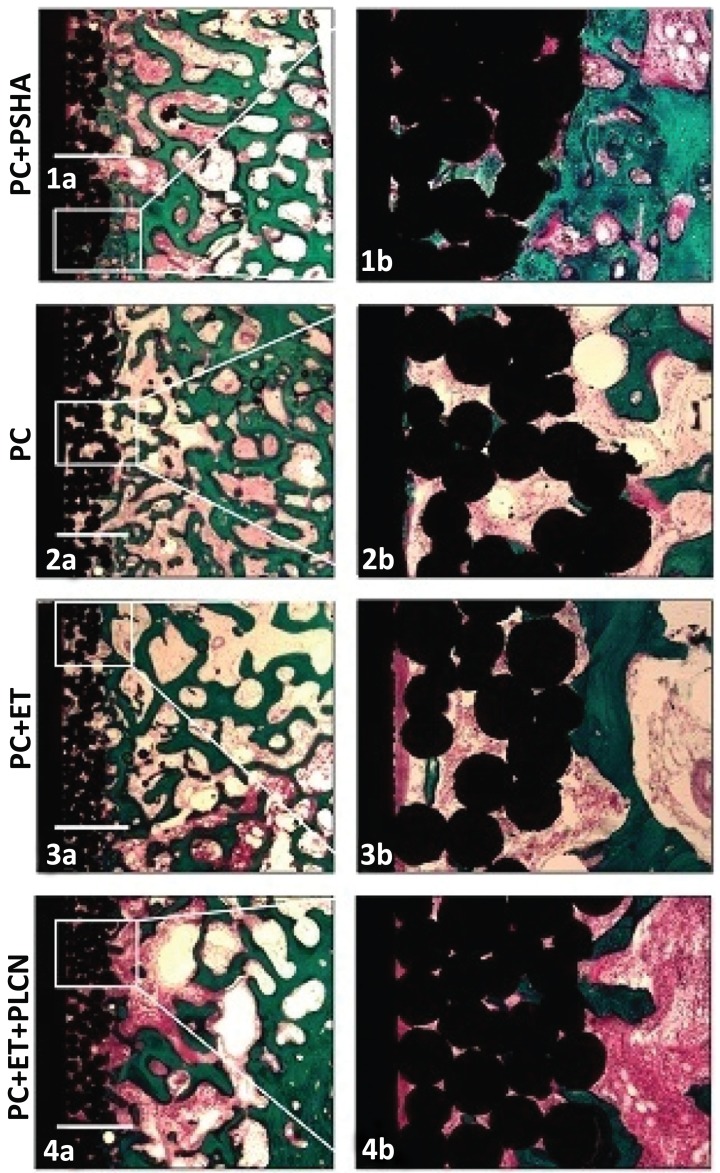 Fig. (2)