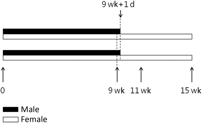 Figure 1