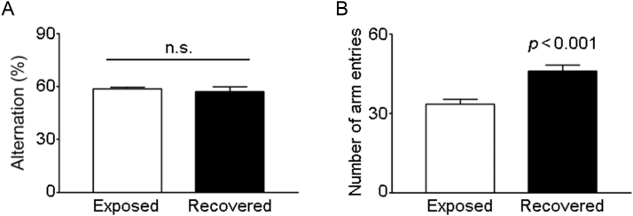 Figure 5