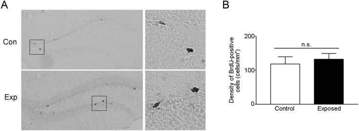 Figure 3