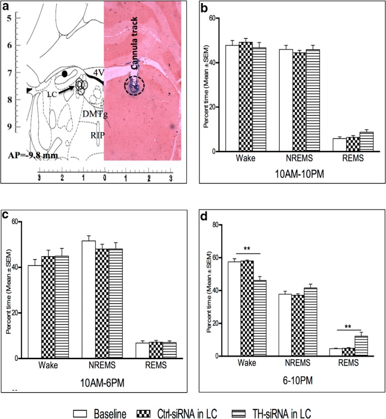 Figure 6.