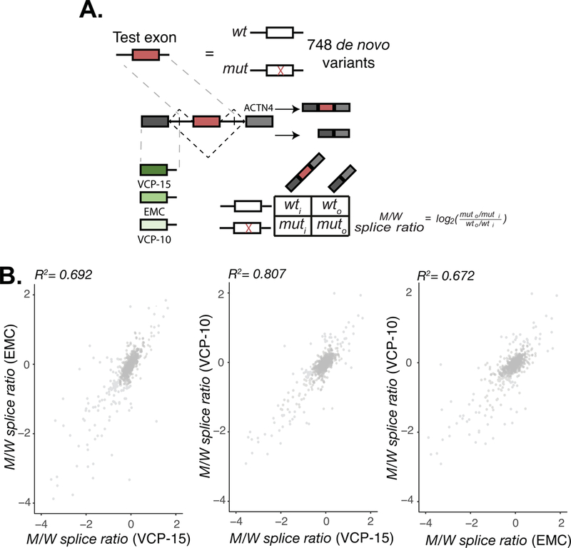 Figure 4: