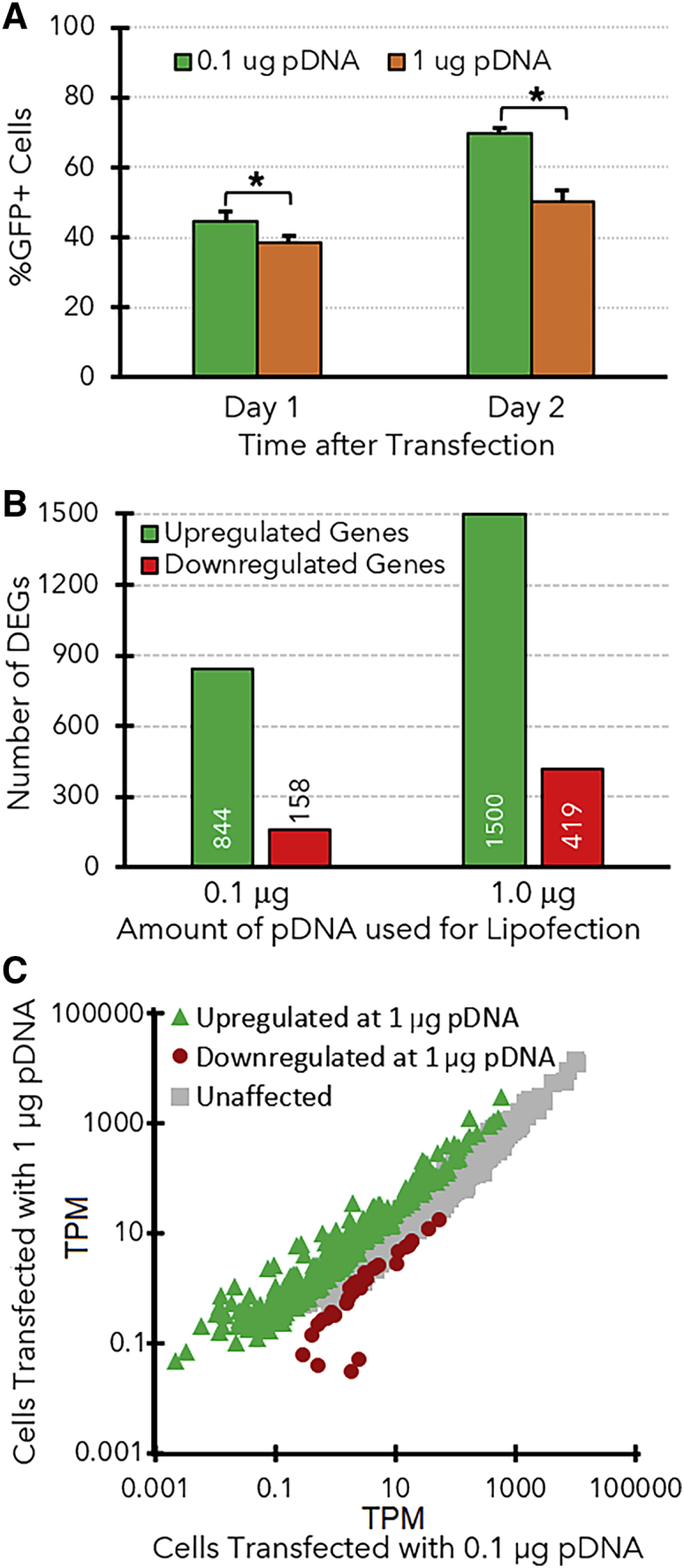 Figure 4