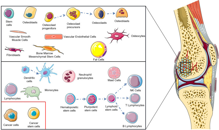 Figure 1