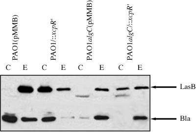 FIG. 6