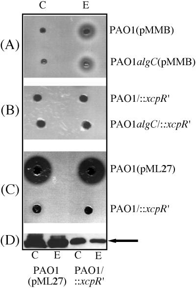 FIG. 7