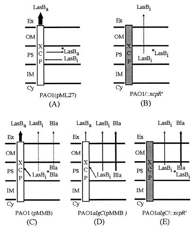 FIG. 8