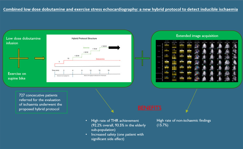 Graphical abstract