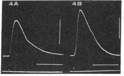 graphic file with name pnas00060-0235-a.jpg