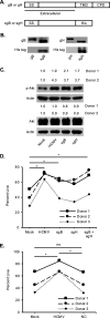 FIG 2