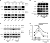 FIG 6