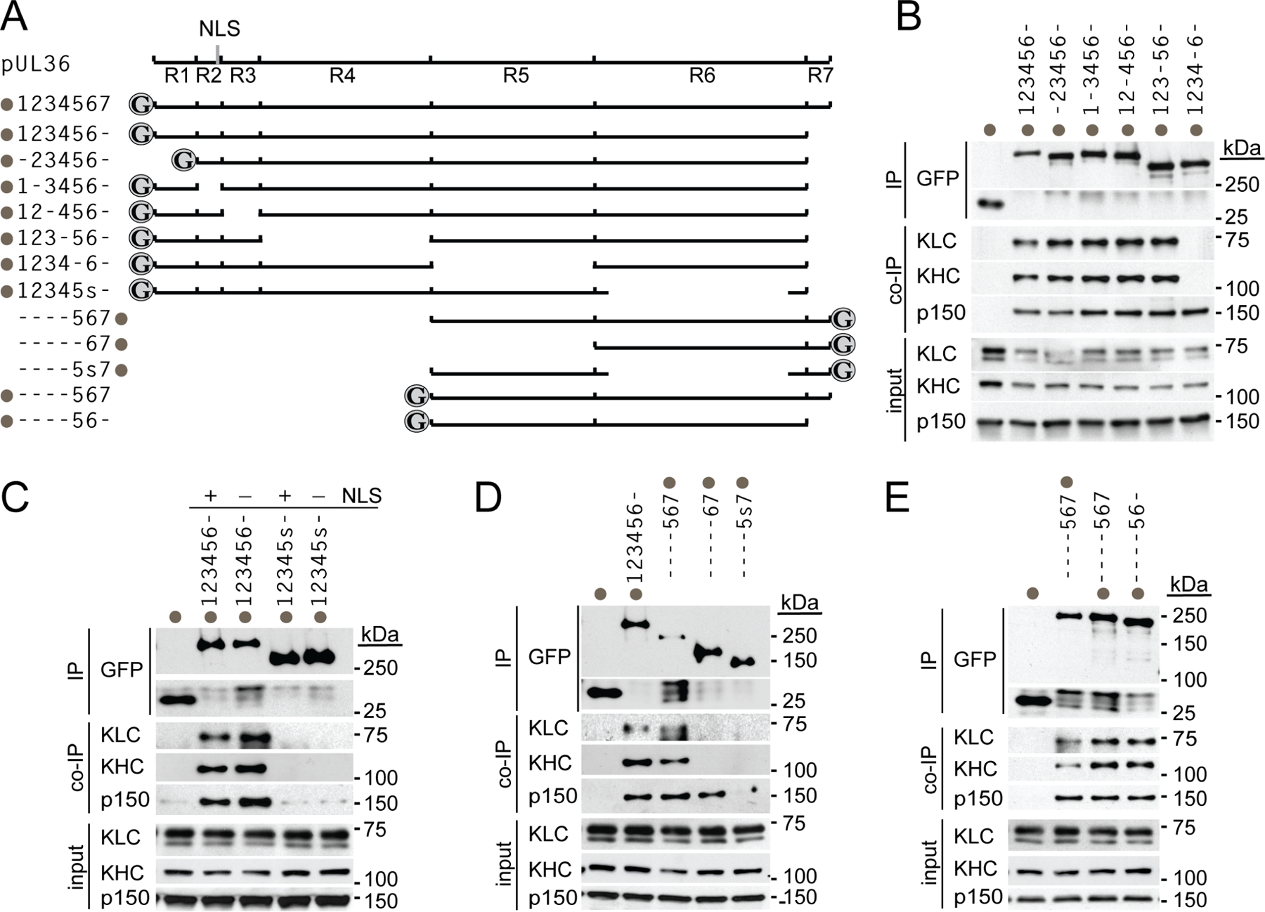 Extended Data Fig. 3