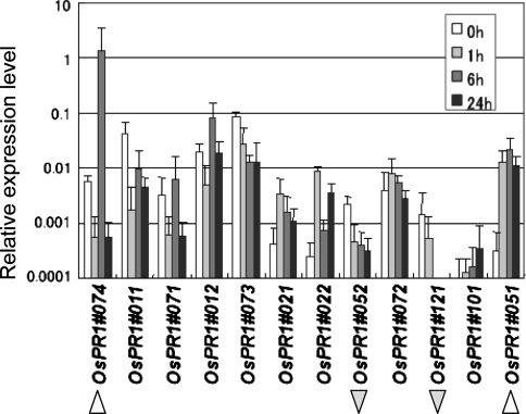 Fig. 3