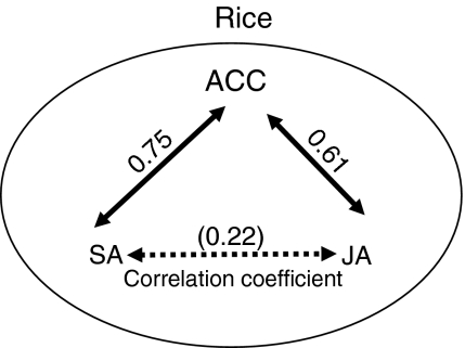 Fig. 6