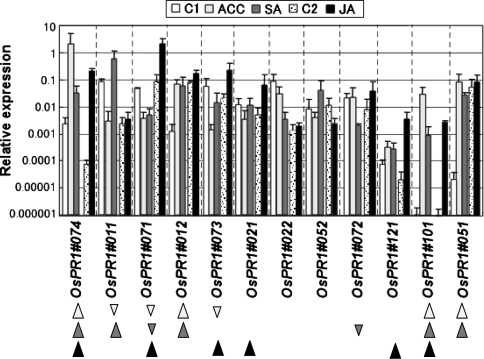 Fig. 5