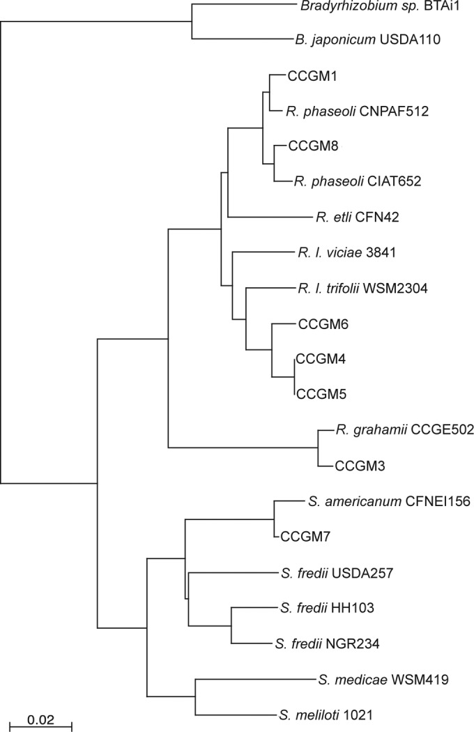 FIG 2