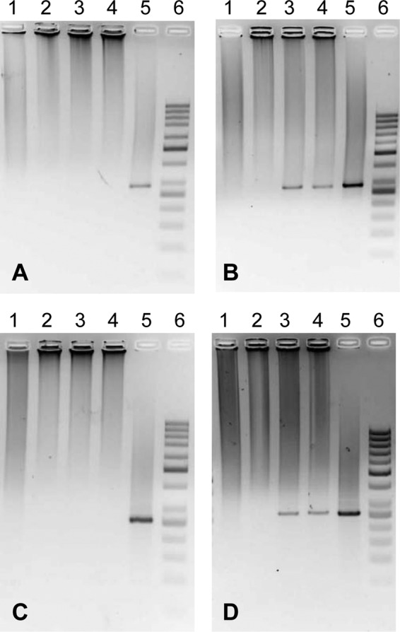 FIG 1