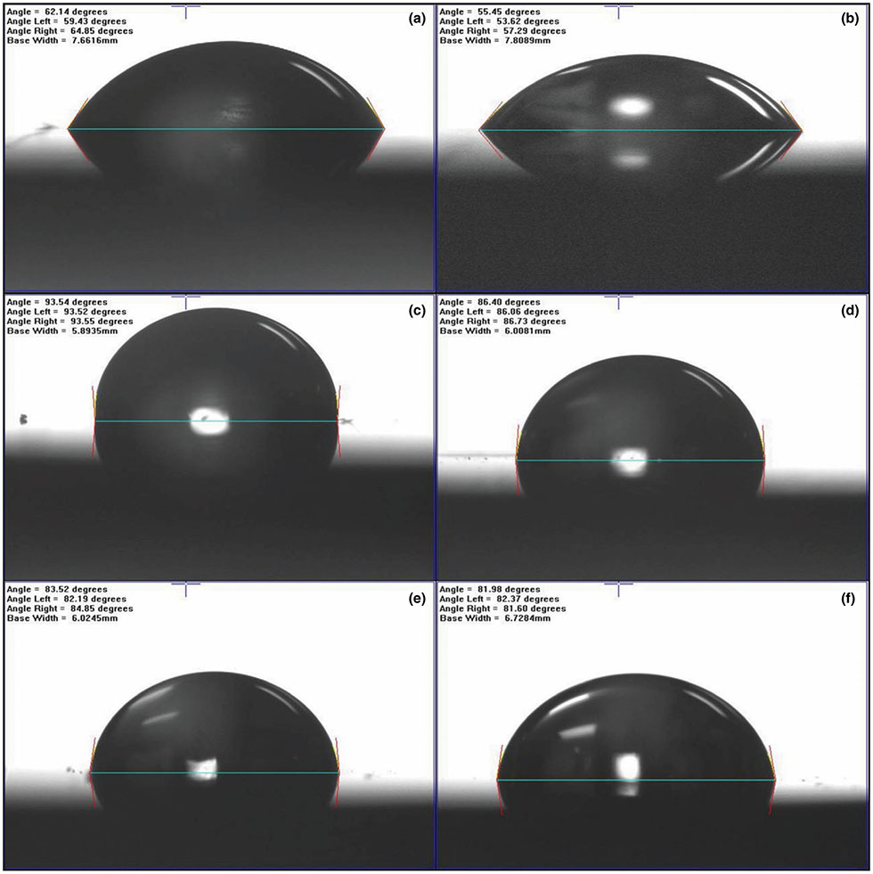 FIGURE 3