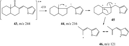 Scheme 8