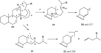 Scheme 3