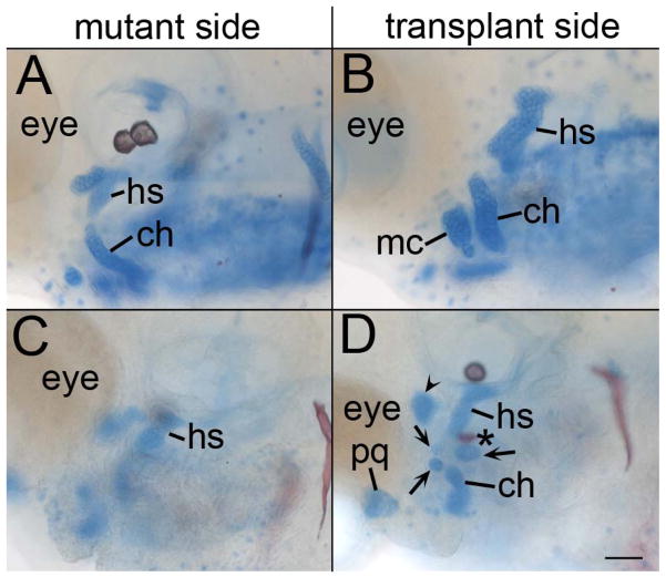 Fig. 9