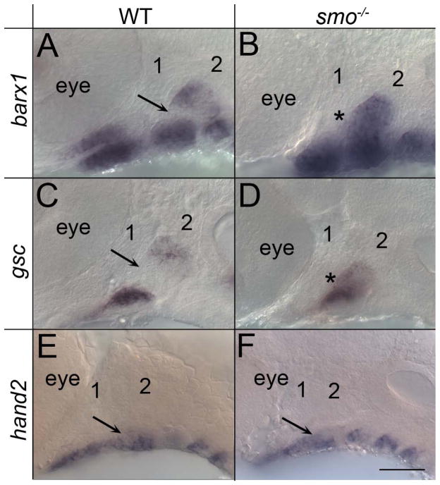 Fig. 5