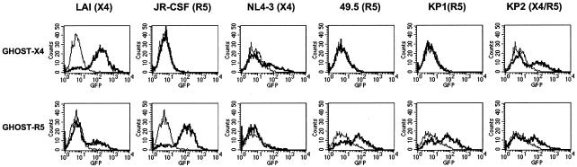 FIG. 5.